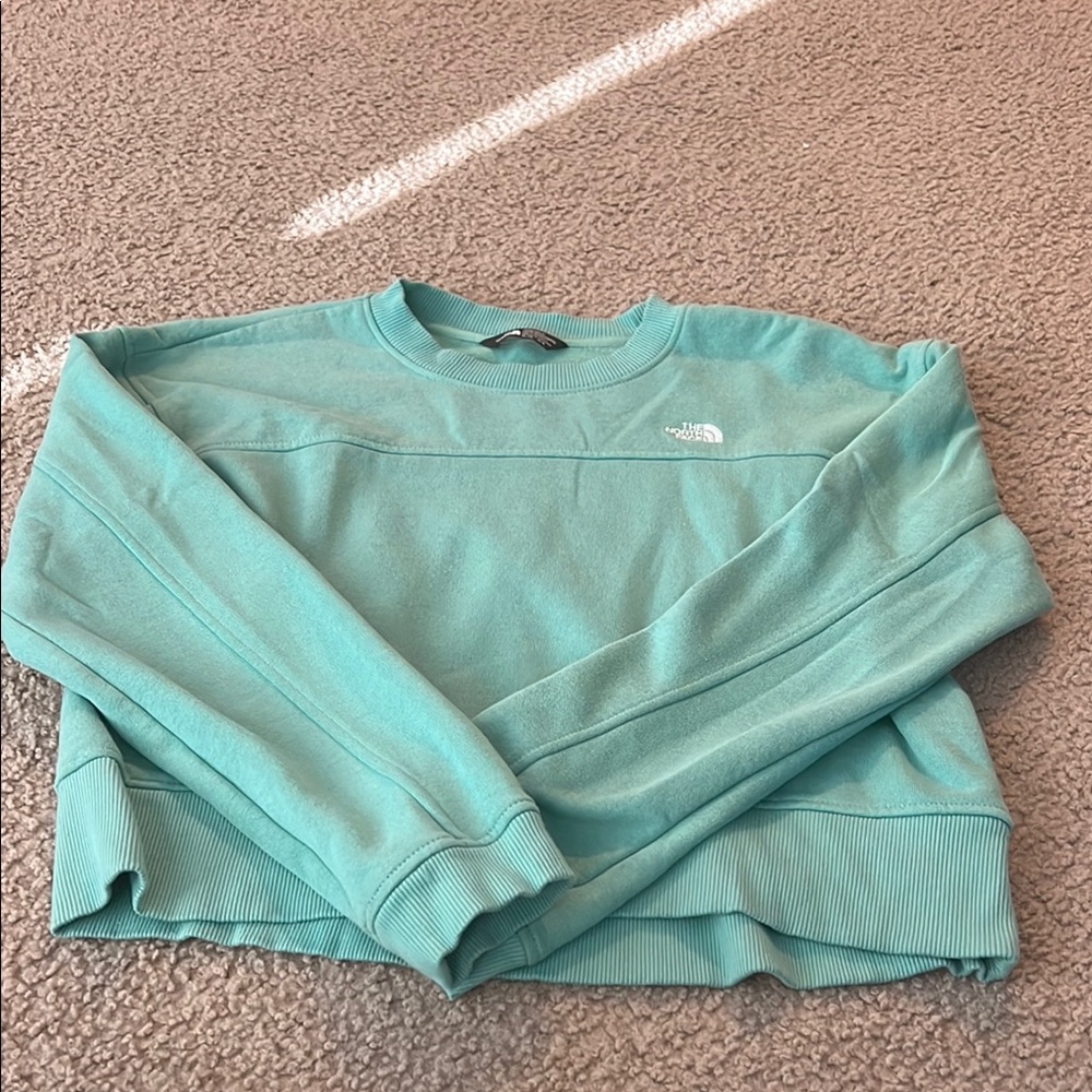 The North Face Men's Teal Sweater